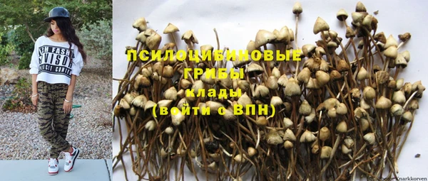 марки nbome Богородицк