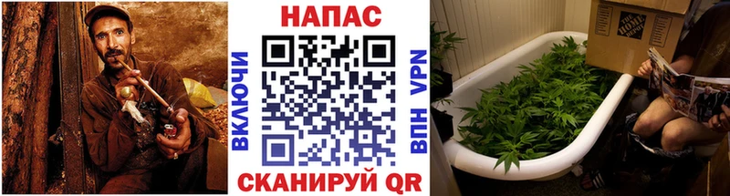 Шишки марихуана семена  Купить где  Нижний Тагил 